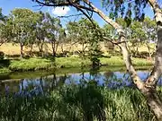 Eastern side of Kororoit Creek near Selwyn Park in Albion, looking southwards.