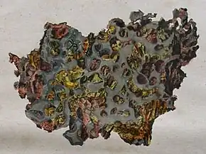 Krasnojarsk meteorite