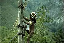 Kurulu Village War Chief at Baliem Valley in New Guinea