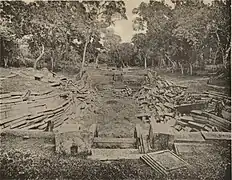 Unrestored southern pond