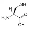 L-Cysteine(Cys / C)