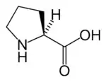 L-Proline(Pro / P)