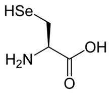 L-Selenocysteine(Sec / U)