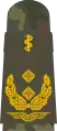 Generalstabsarzt(Airforce Medical Officer with the equivalent rank of Major General)