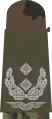 b. Mounting loop with bright-grey emblem on stone-olive base textile – Luftwaffe (here: lieutenant colonel)