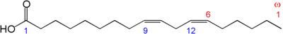 Linoleic acid structure