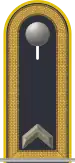 Jacke Dienstanzug Luftwaffenuniformträger