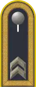 Jacke Dienstanzug Luftwaffenuniformträger