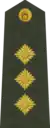 Pulkvedis(Latvian Land Forces)