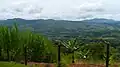 View from a Hill, La Cumbre, Pavas.