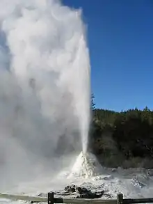 Lady Knox Geyser erupting