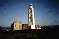 The bird observatory, lighthouse, Trig point and shed, with the 'beacon' in the background.