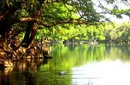 Lago de CamécuaroDry-winter humid subtropical climate (Cwa)