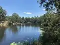 Lake Parramatta, January 2019