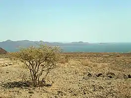 Lake Turkana