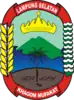 Official seal of South Lampung Regency