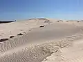 Lancelin sand dunes