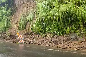 A road covered by dirt and vegetative debris from a landslide