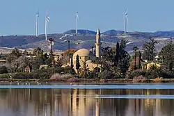 Hala Sultan Tekke with Larnaca Salt Lake in the foreground