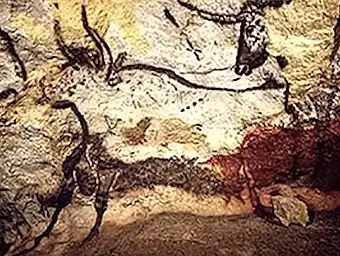 Lascaux, Aurochs (Bos primigenius primigenius)