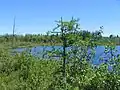 A la Barbotte Lake, source of Gendron Creek, Laurentians, access by Route des Prairies