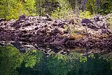 Trees and jagged moss-covered rock reflecting on water in the foreground.