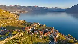 Lake Geneva with the Lavaux vineyards