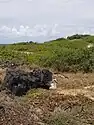 At Kaʻena Point State Park, Hawaii