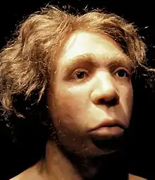 Le Moustier 1 Neanderthal facial reconstitution, Neues Museum Berlin