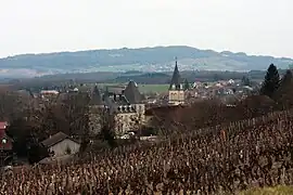 A general view of Lavigny