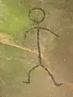 A stick figure at the prehistoric Leo Petroglyph in the United States.