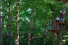 Forest adventure park