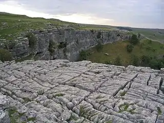 Limestone pavement at Malham Cove, UK