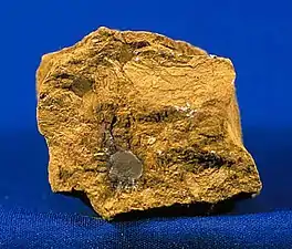 Limonite, a clay containing iron oxide, which gives sienna pigment its color.