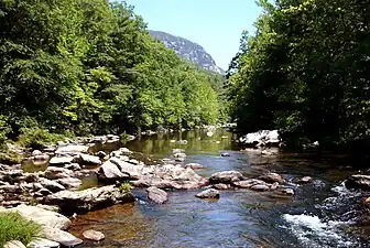 View of the Linville River