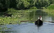 Danube Delta