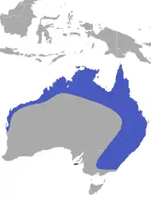 northern and eastern coast of Australia