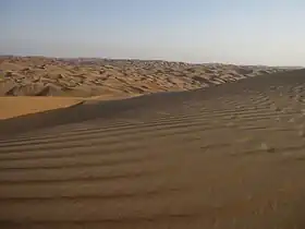 Liwa desert