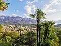 Locarno from Monti Trinità. Note the presence of palm trees in the foreground and the brown mountains in the background, showing the prevalence of deciduous trees (before foliation) at even high elevations.