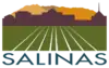 Official logo of Salinas