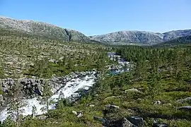 Lomsdalen in Lomsdal-Visten National Park in Brønnøy