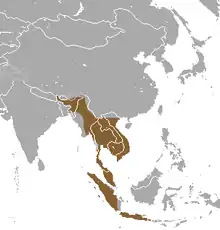 Indochina, Malay peninsula, Sumatra, and Java