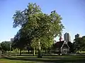 Loring Park in the Summertime