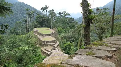 Ciudad Perdida is a major settlement believed to have been founded around 800 CE. It consists of a series of 169 terraces carved into the mountainside. a net of tiled roads and several small circular plazas. The entrance can only be accessed by a climb up some 1.200 stone steps through dense jungle.