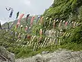 Koinobori flying in Oboke Koboke, Iya Valley, Tokushima Prefecture