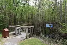 Footpath leading to the boardwalk.