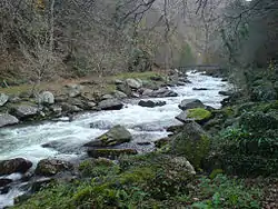 Small stream gushes over rocks, surrounded by woodlands.