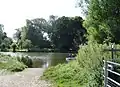 Site of Little Stoke ferry from the Cholsey side