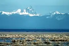 Flat wetlands of brown grass with snowy peaks in the background