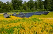 Nexamp Community Solar Farm featured in Lunenburg Massachusetts